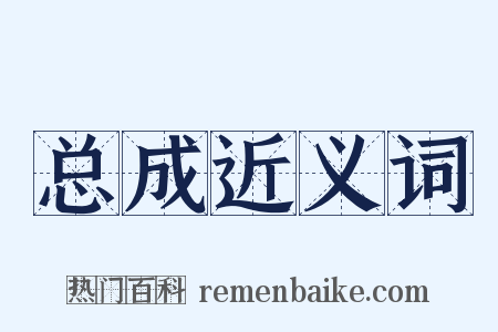 总成近义词是什么意思的图片